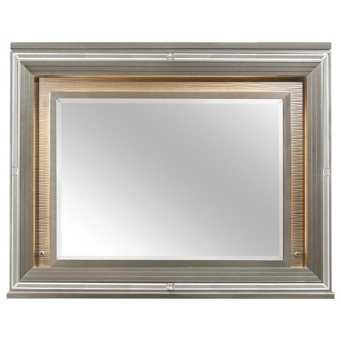 Homelegance Tamsin Mirror in Silver Grey Metallic 1616-6 image